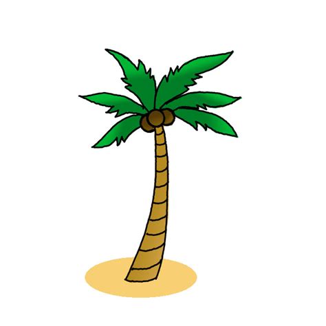 niyog drawing|How to draw a Palm or Coconut tree .